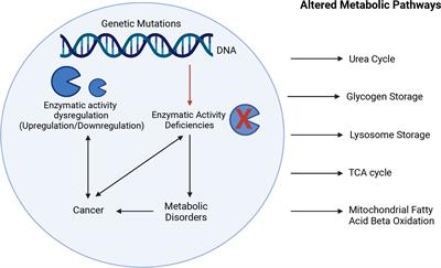 Genetics of enzymatic dysfunctions in metabolic disorders and cancer